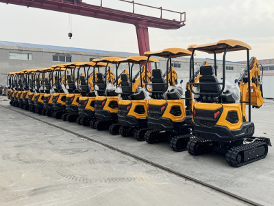 Mini escavatore cinese