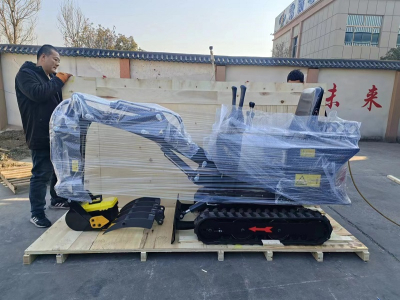 0.8 ton excavator shipped