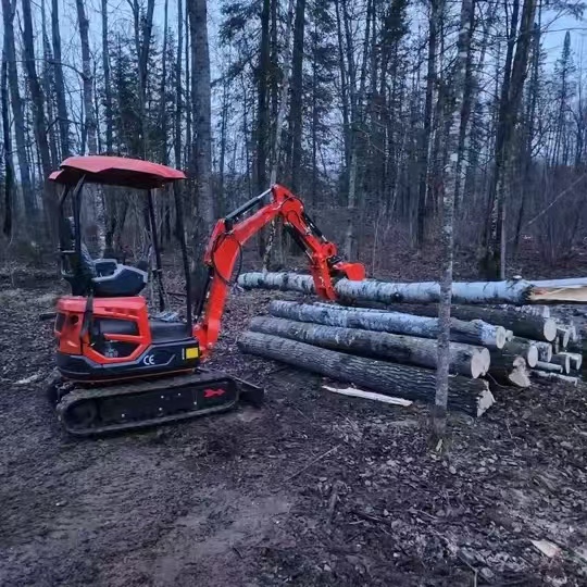 Mini excavador Mini excavador