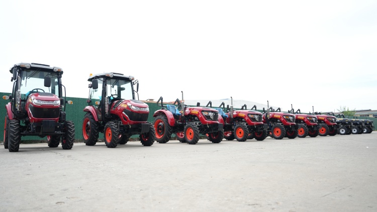 đơn đặt hàng từ nhà phân phối Togo đơn đặt hàng từ nhà phân phối Togo