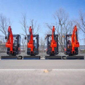 mini escavatore