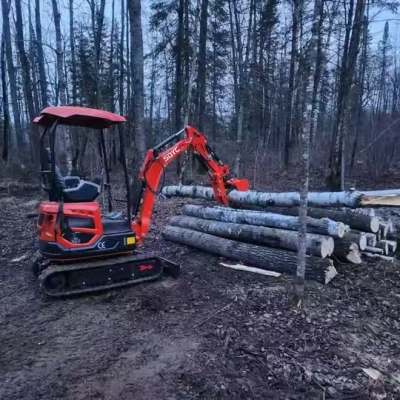 Small Digger