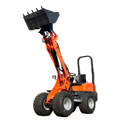 Chinese small Loader