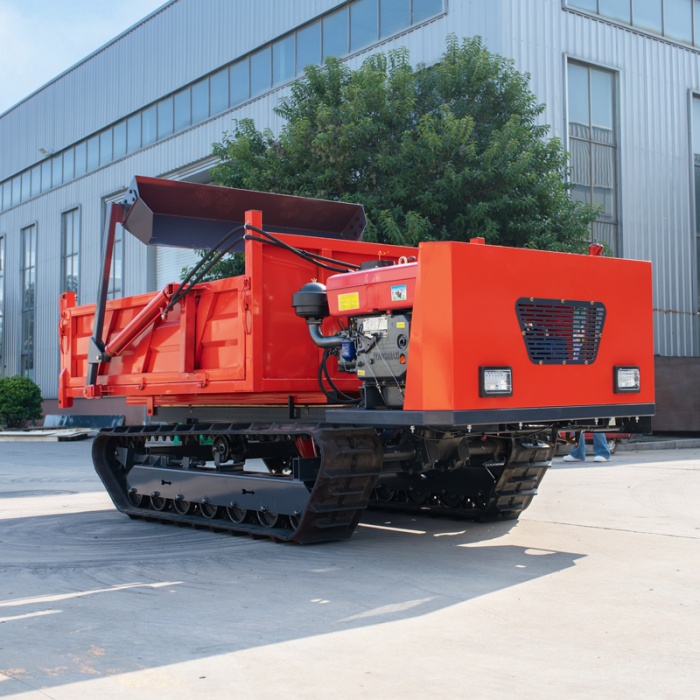 Crawler dumper